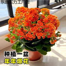 �L�ۻ������ذ�����󻨎����������ļ��҃��_�����B�Ļ���ֲ��