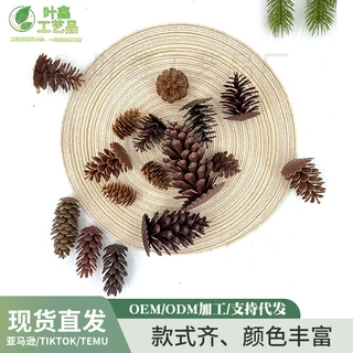 多规格仿真塑料松果 人造松塔干花平替 拍照道具伴手礼礼盒点缀果