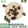 点缀拍照仿真人造干花