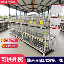 立式肉鸡笼H型框架笼鸡窝养鸡场用镀锌多层叠式肉鸡笼子可外贸
