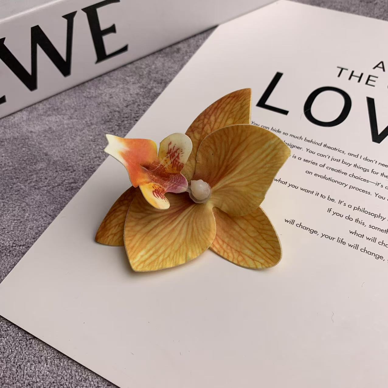 미니 호접란 꽃잎 노란색 3