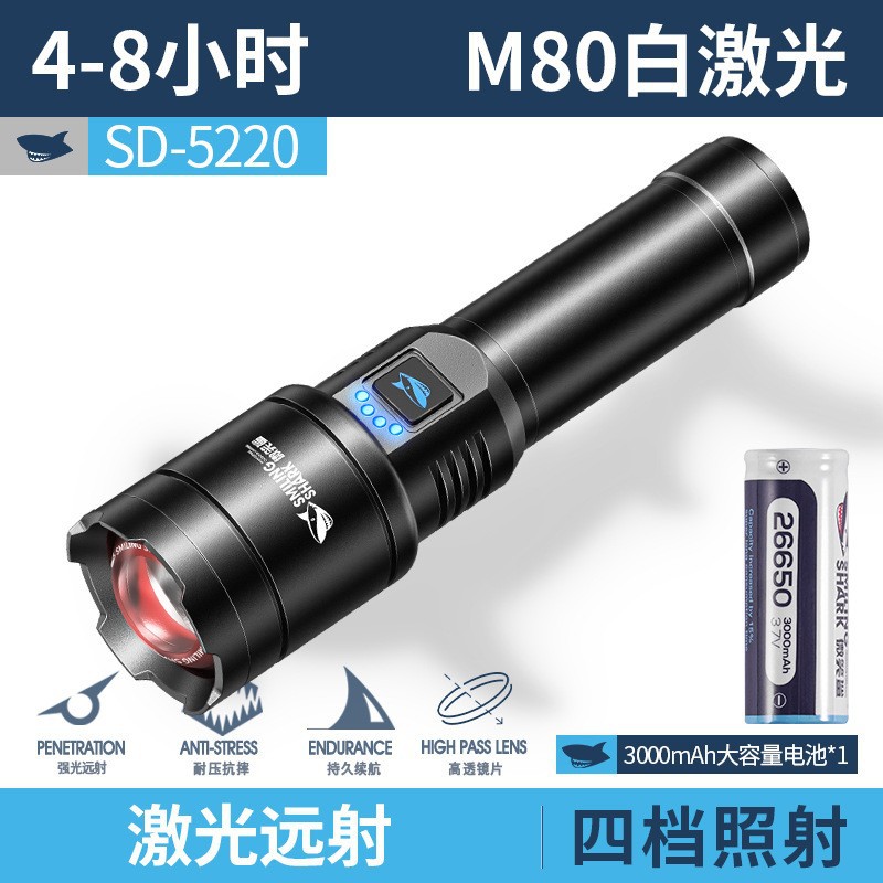 SD-5220-1 분말 전기 [3000 용량 전기]