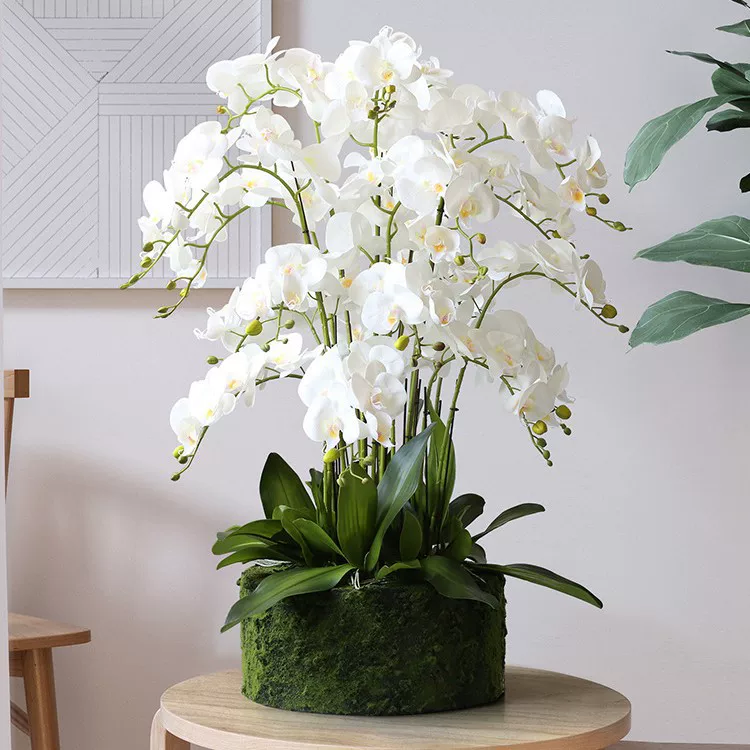 High-end realistic flowerpot, creative set, simple and elegant design