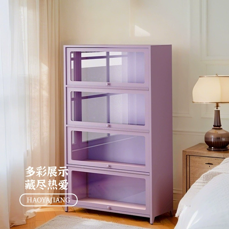 Металлический шкаф с дверцами, стеклянный витринный шкаф, бытовой стиль, небольшая железная художественная стойка для хранения красной книги.