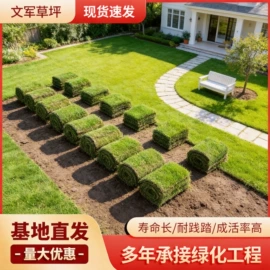 草坪;乔木;灌木