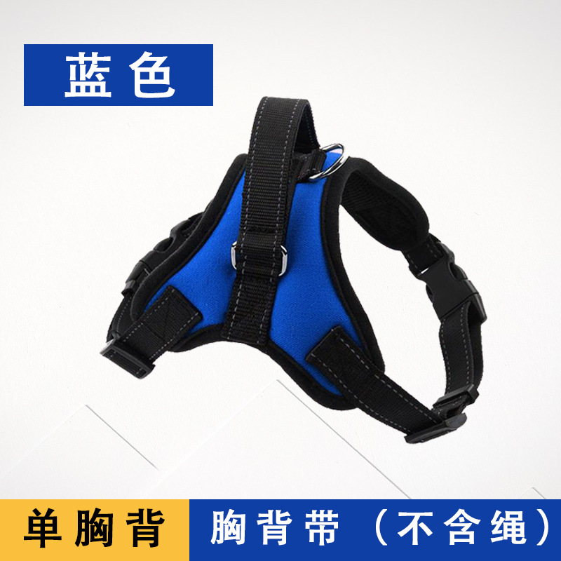 블루 싱글 가슴 뒤