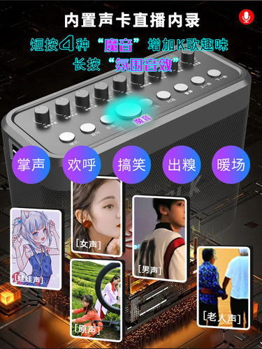 Shenglaker S1314 200W Audio Engineer Sound Card Speaker Integrated Outdoor Karaoke Reverb Live Broadcast Bluetooth Speaker 