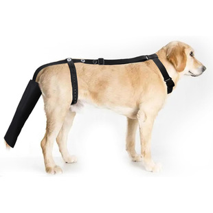 �羳��Ʒ�����o�߹�β���o�߱��o�׹�β֧���g���ֹ��ҧ͸�����