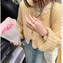 �n���|���T2024�����¿�ж��L�A�I�@���L��ë��ϵ���_������Ů��