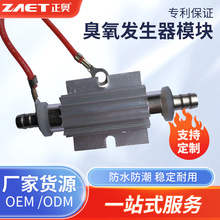 商用微型果蔬消毒机杀菌灭藻管式臭氧配件空气净化臭氧发生器模块