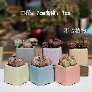 New Chinese succulent plant flower pot set combination flower pot stoneware breathable pot large old pile pot maifan stone pot