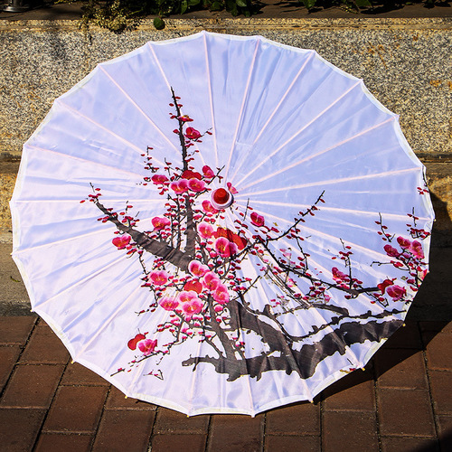 Embroidered silk cloth umbrella ancient costume oil paper printed umbrella, ancient style fashion show prop performance dance ceiling craft umbrella