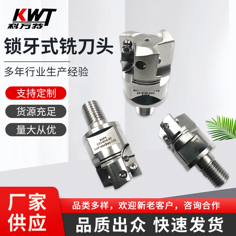 锁牙式防震铣刀头 BAP3系列 BAP4系列 EMR TRS高精锁牙刀头