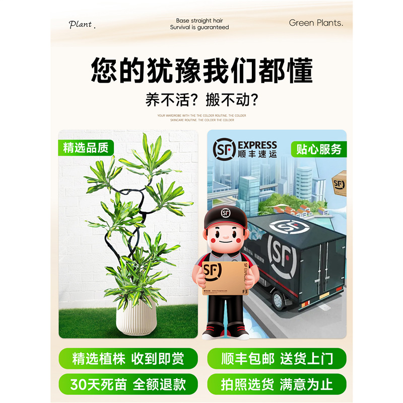 商品图