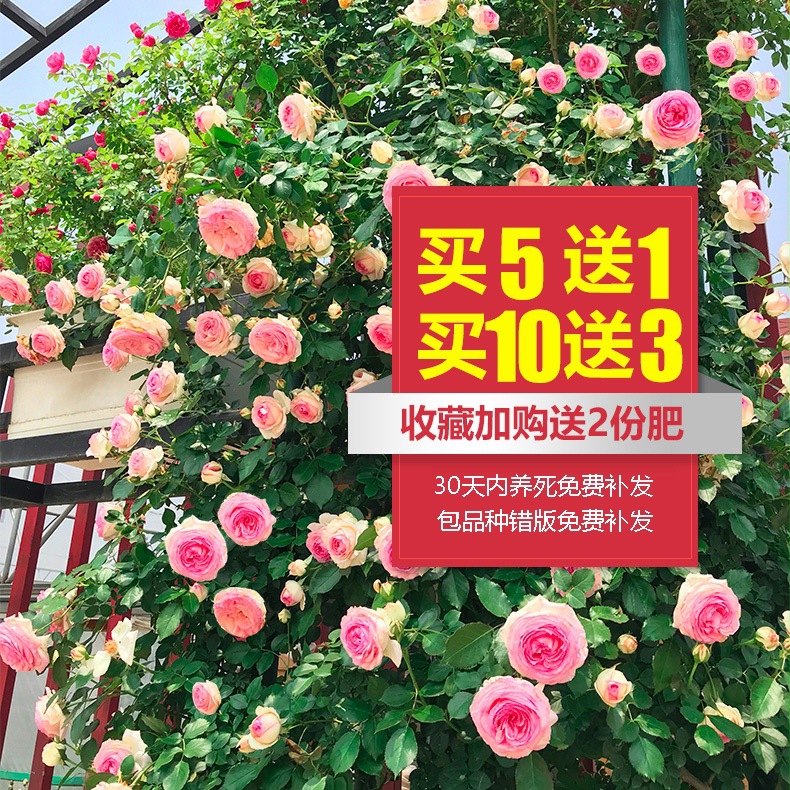 gm6WifKnzdTvlDvQUnfRc4wHTBlCZiMFb7VS