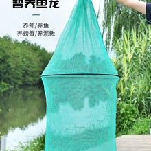 ԣ���O�W���ۯB�A�ξW�����r�з���B���\�W���~�o�Ӻ����B�~�r