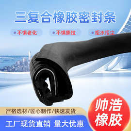 汽车B柱密封条车用隔音防尘车门框防尘胶条非标复合耐高温橡胶条