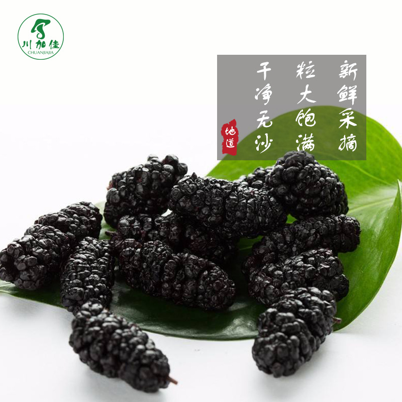 德昌黑桑葚干2斤装 特产即食泡酒水槡椹干桑仁干熬膏果新鲜桑椹干