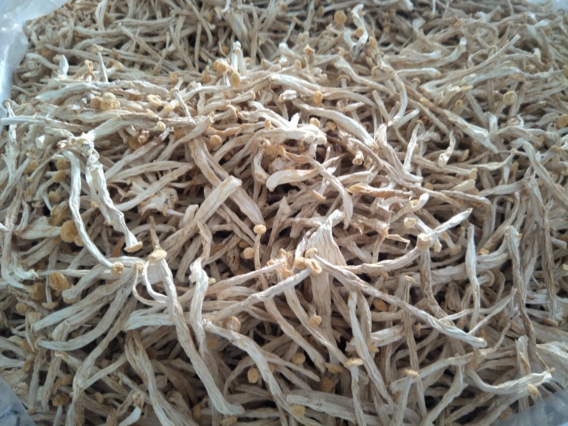 O1CN01DG0Ky51o8wh0VMgkm_!!2211