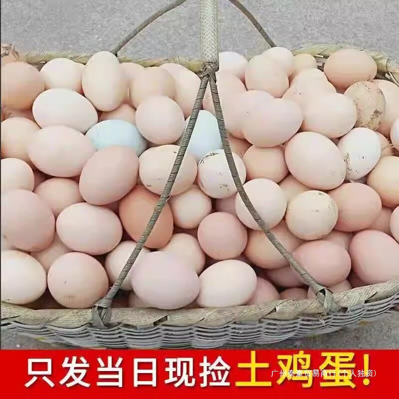 40 Farm-Grown Free-Range Eggs, Authentic Fresh Natural Eggs, Nutritious, Commercial-Grade, Group Purchase 40 Farm-Grown Free-Range Eggs, Authentic Fresh Natural Eggs, Nutritious, Commercial-Grade, Group Purchase