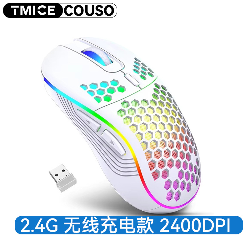 Wireless model white