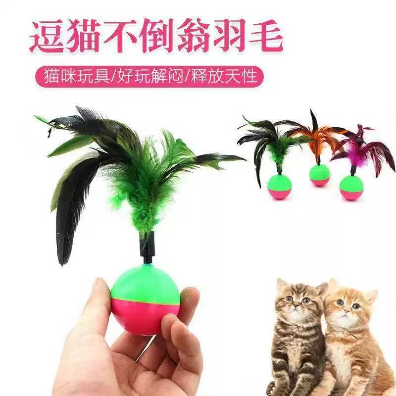 텀블러 깃털