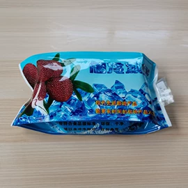 冰袋冰包;其他食品包装;蜜饯果干包装