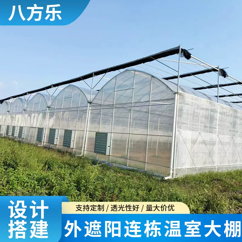 农业外遮阳温室大棚 恒温薄膜大棚草莓种植大棚 连栋连体大棚拱棚