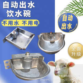 猪牛羊自动饮水碗新款不锈钢猪羊饮水器自动饮水槽耐用宠物喝水器