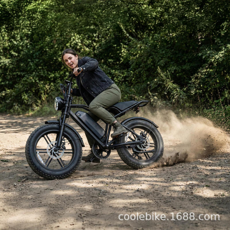 Cross-Border Electric Bicycle 20inch with Fat Tires for Snow, Beach, Off-Road, and Grass Riding