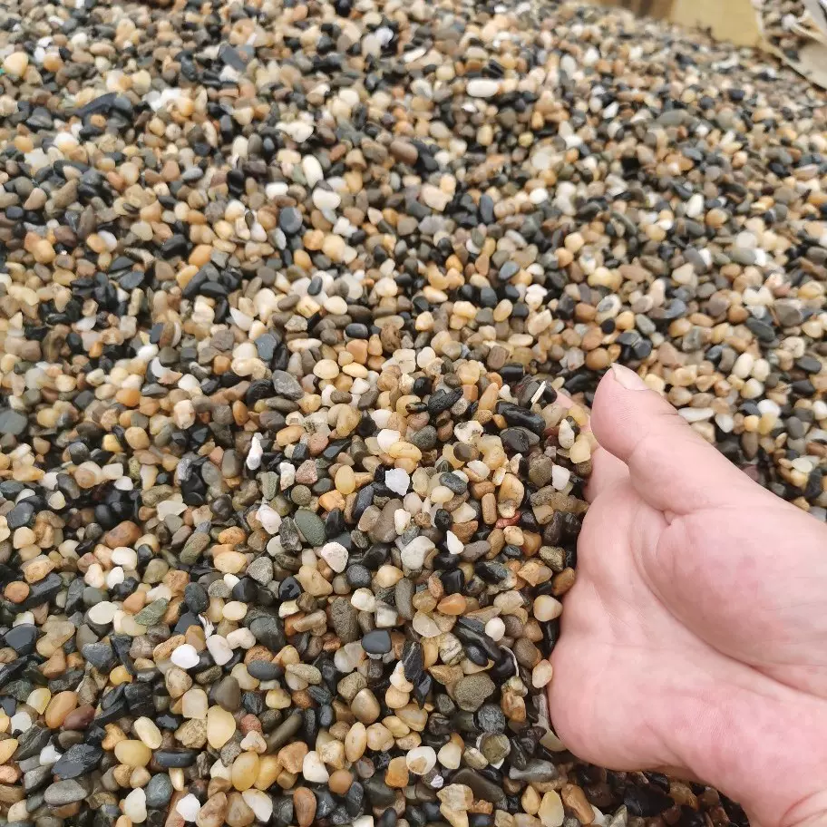 通用地暖回填鹅卵石足底按摩豆石庭院回填变压器水处理大块石子