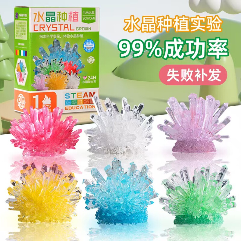 Crystal Planting DIY Kidsren's Science Experiment Set Fun Family Communication Chemistry Experiment Growth Crystal Principle