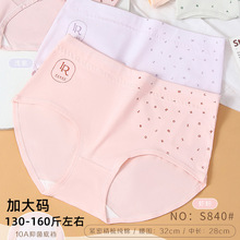 130-160斤加大码纯棉DL时尚简约透气亲肤舒适女士三角内裤S840雅
