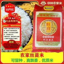 ���Pʼ�d�������x���|���׽z������ܛŴ����݆�N�o���������N��