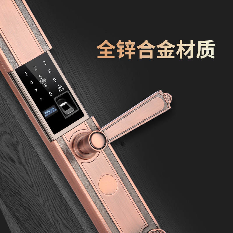 Cerradura de huellas dactilares deslizante puerta de la villa patio puerta antideslizante cerradura de contraseña retro europea cerradura inteligente de aleación de zinc