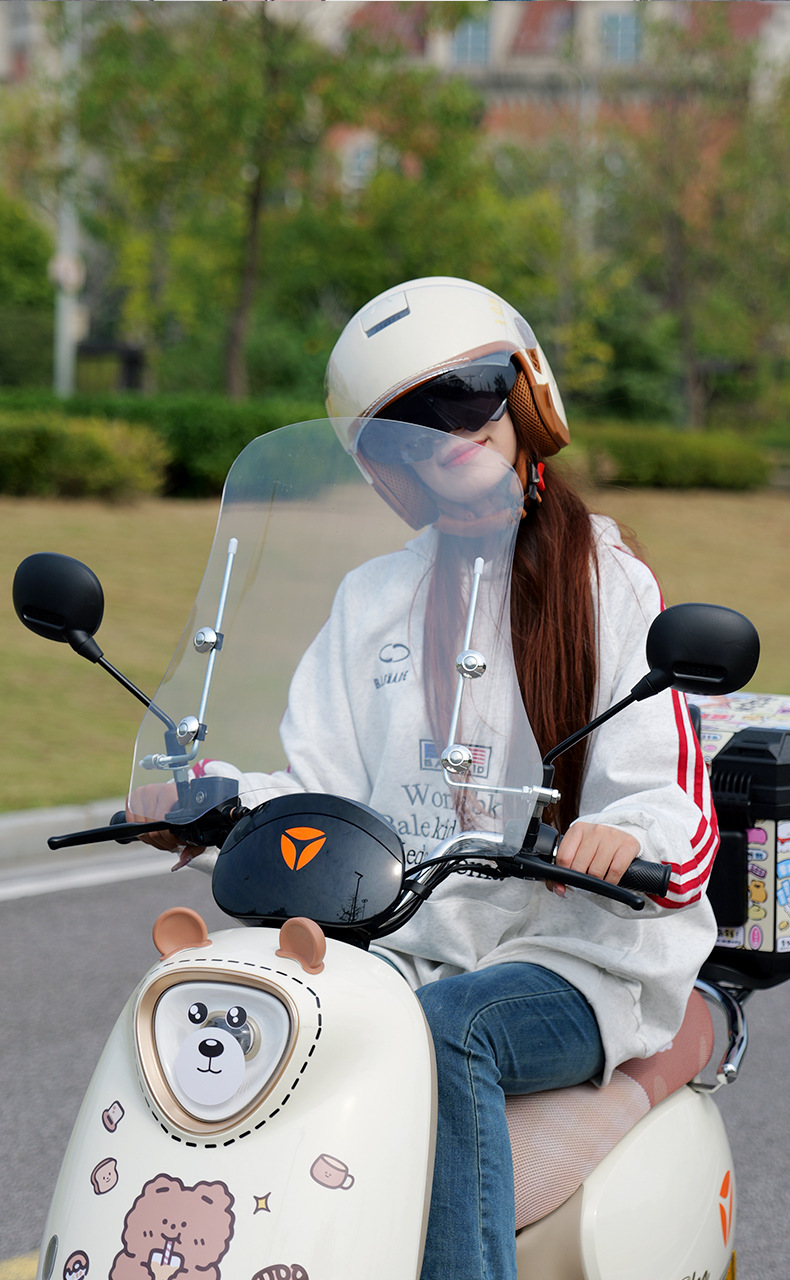 Special Front Windshield for Electric Vehicles, Universal Windproof Cover Pedal, Honda Applicable Windshield, Transparent