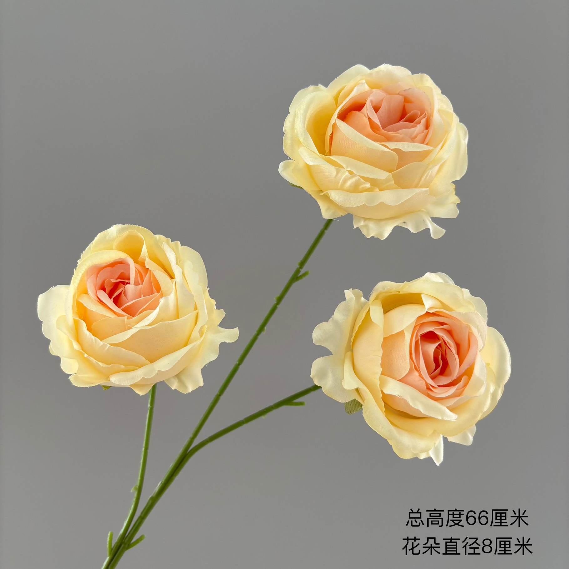 3송이 스노우 마운틴 로즈