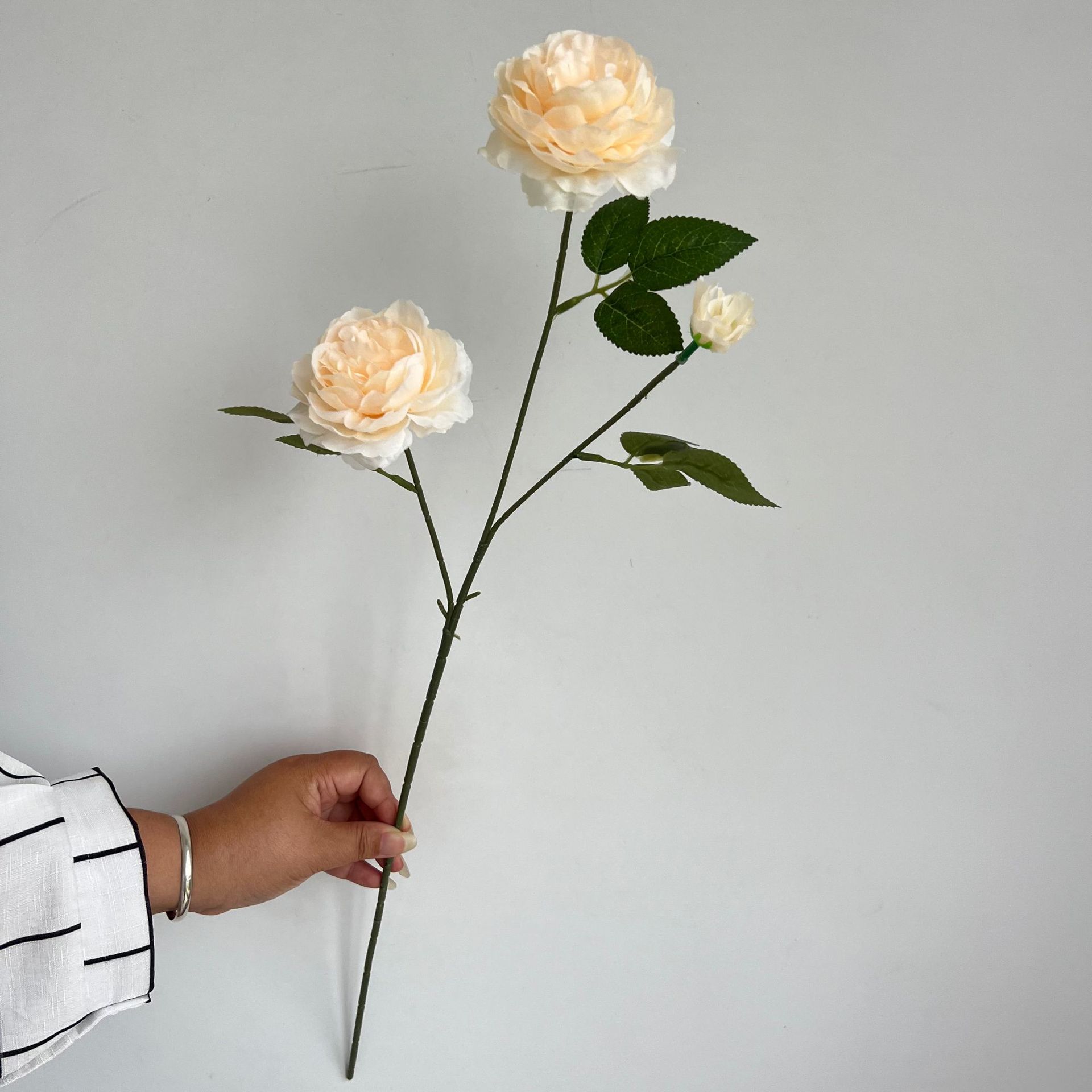 696a5999640031873cf302fc2ec311