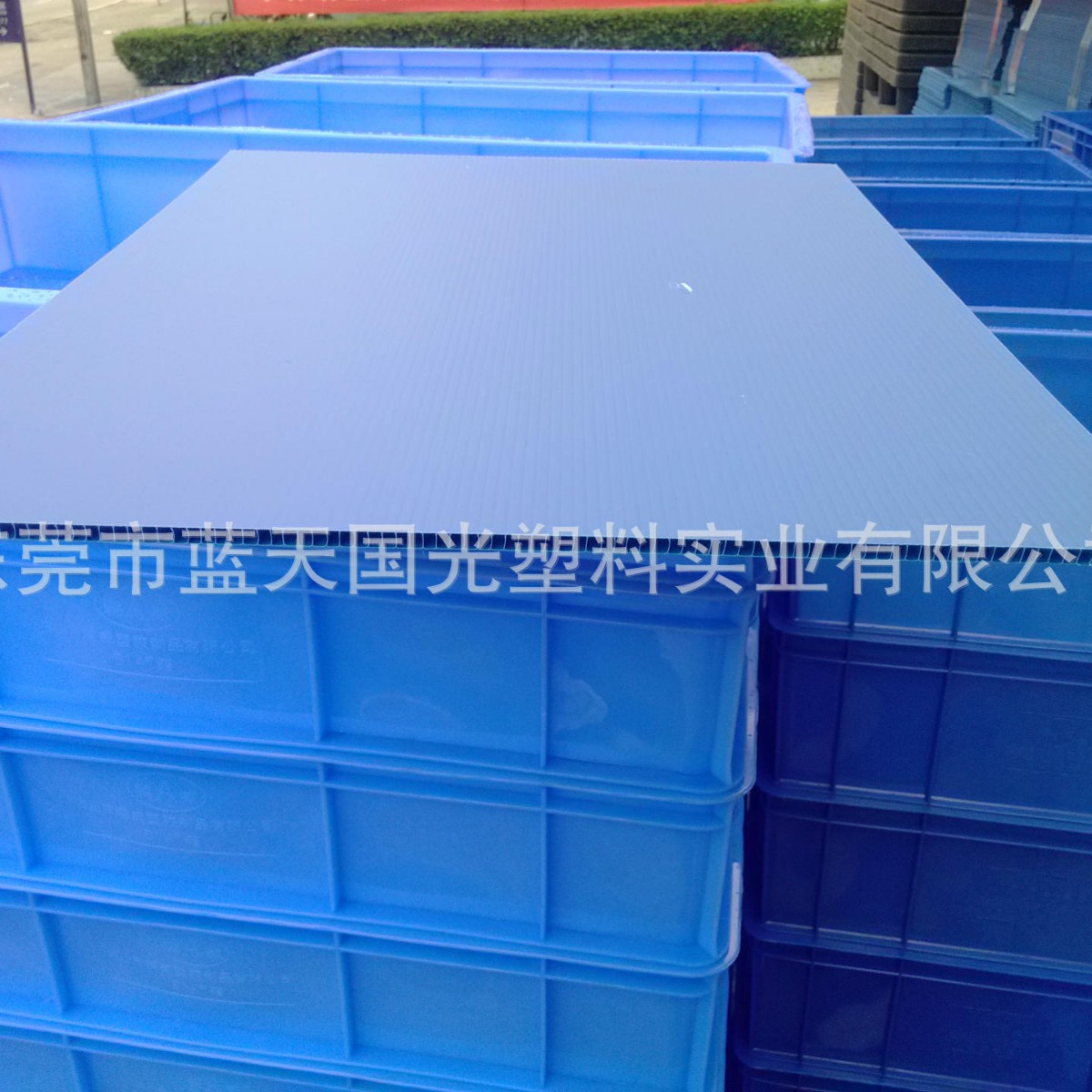 PP塑料蜂巢空心板 钙胶板 2-12mm塑料中空板 万通板瓦楞板隔板