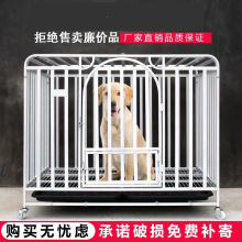 狗笼子中大型犬泰迪比熊博美金毛室内带厕所分离宠物家用猫笼别墅