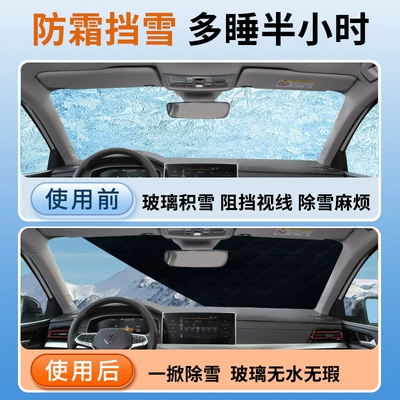 Snow and Frost Snow Cover: Car snow shield