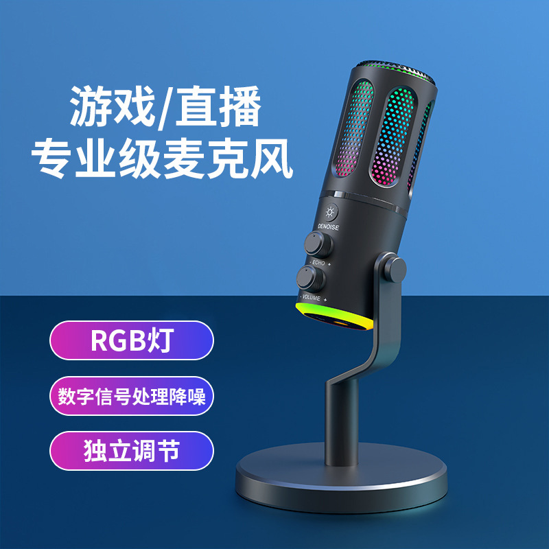 Cross-Border Microphone Noise Reduction Microphone Computer Desktop Karaoke USB Laptop Voice Streamer Live Sound Card Microphone
