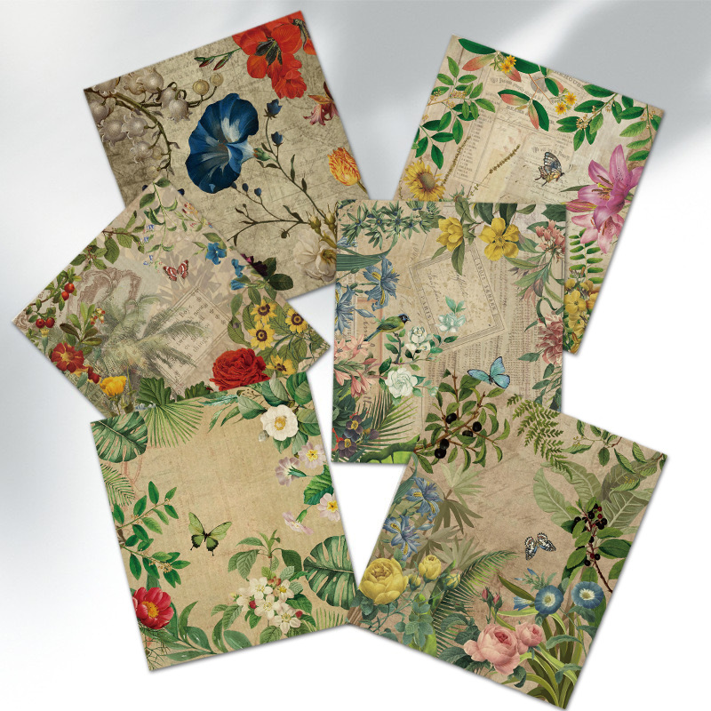 레트로 플로럴 6팩