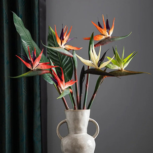 ��֦��̖ܛ�z�����B����ٻ�������ʽ�Ҿ��b[����c�zӰ�Q���m