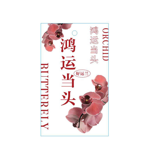 Phalaenopsis plant hanging card