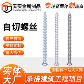 自切螺丝门窗安装螺栓梅花槽铁镀锌路锈宝德式自切螺丝