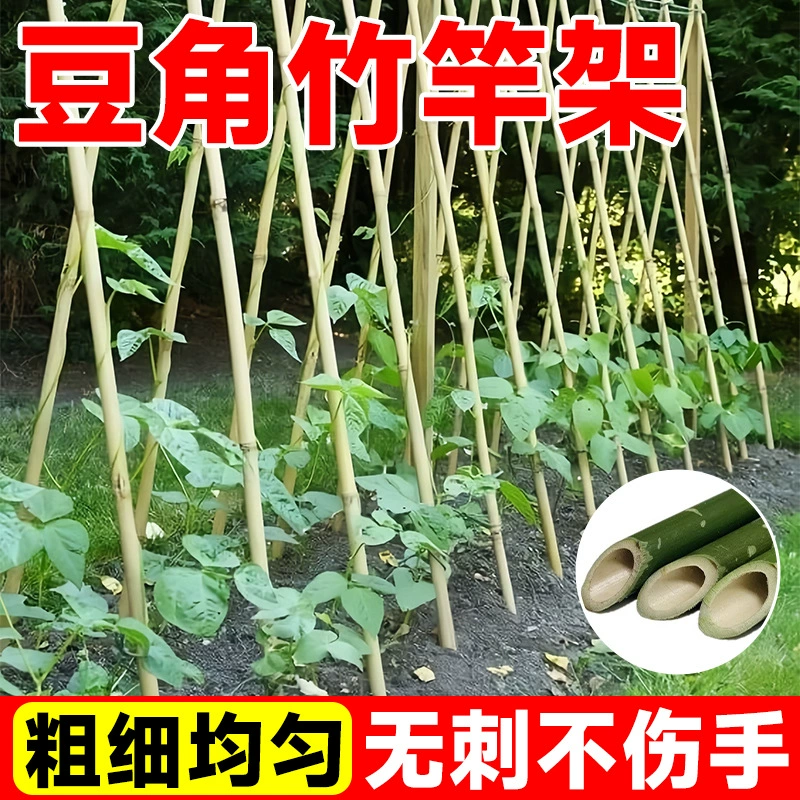 Сетка для бобов, бамбуковая стойка, каркас для овощного сада, сетка для огурцов, томатов, вьющихся виноградных лоз, маленькая бамбуковая тонкая бамбуковая стойка, забор, барьер.