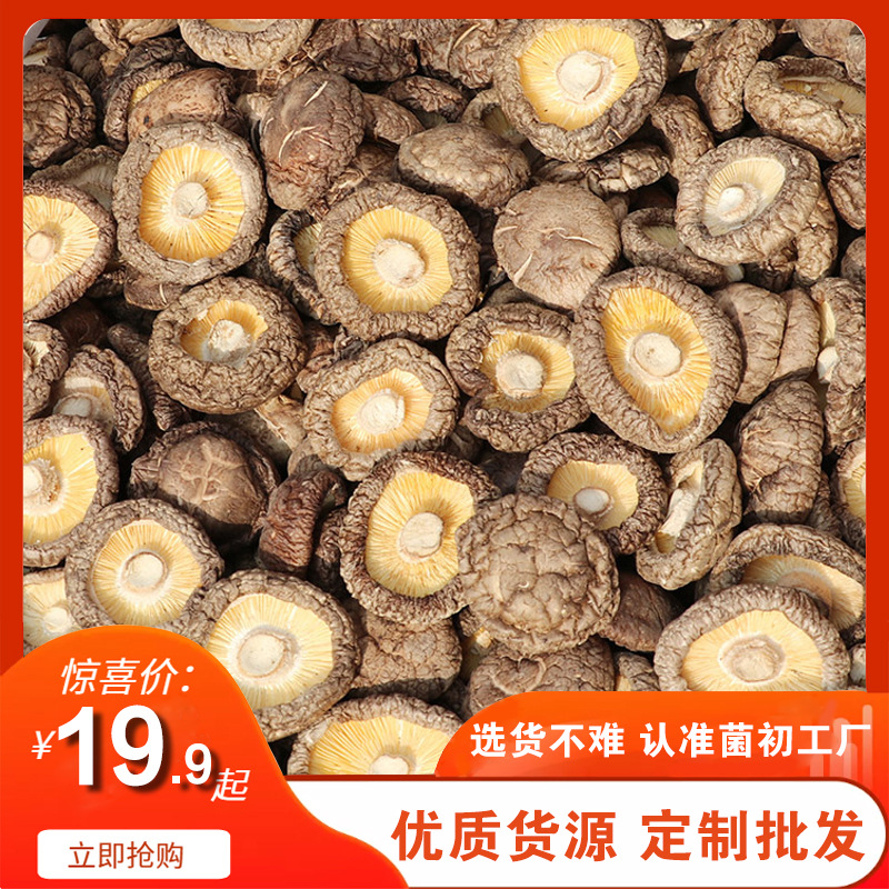 Dry mushrooms 500g Place of Origin Straight hair Mushrooms Thick mushroom Hotel Restaurant wholesale Rootless Mushrooms Braised chicken customized