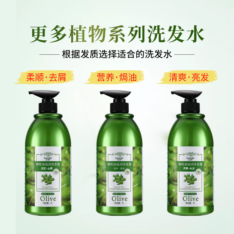 Olive Anti-Dandruff Smooth Shampoo Long-lasting Fragrance Refreshing Oil Control Shampoo Shampoo Cream for Men and Women Wholesale