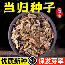 ��ș�Į��w�N��ɢ�b�����׷NՓ���u��@ͥԺ�Nֲș�Į��w�N��